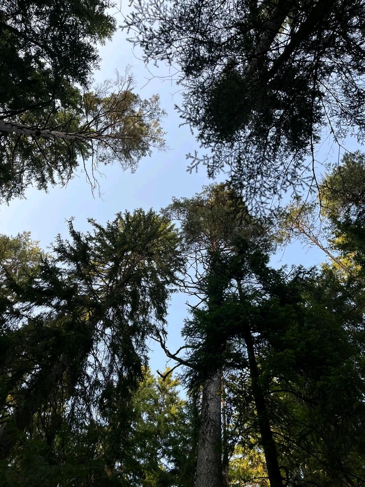 Выява загружана Александр