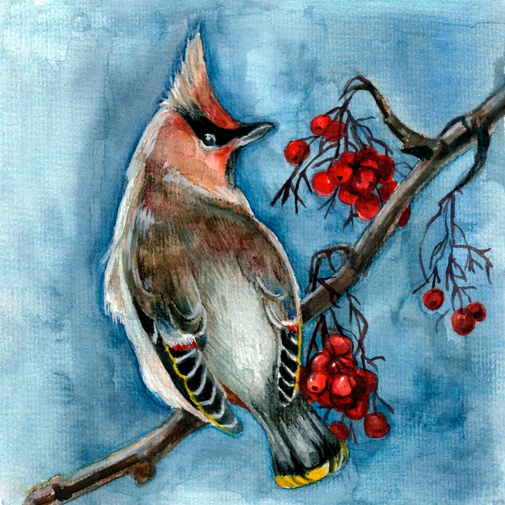 Image uploaded by Lisa