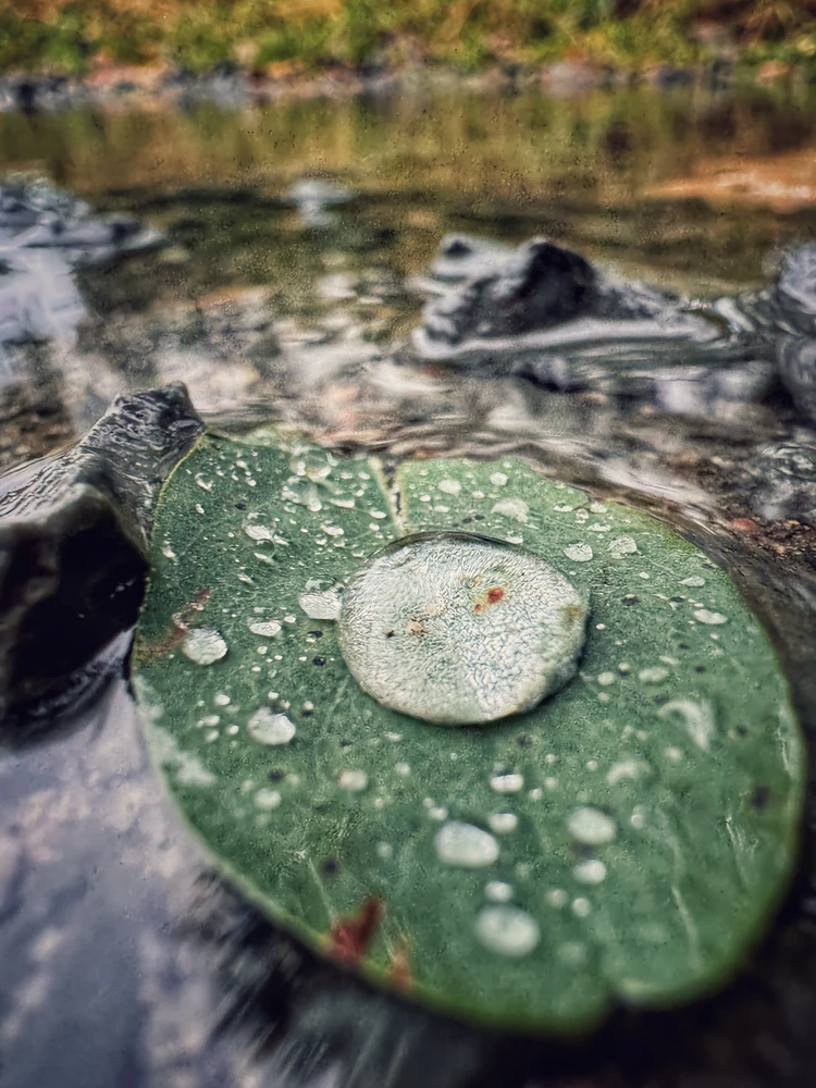 Obrázek nahrál Dejf