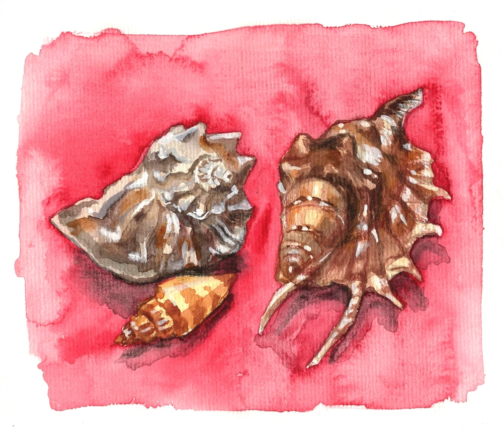 Image uploaded by Lisa