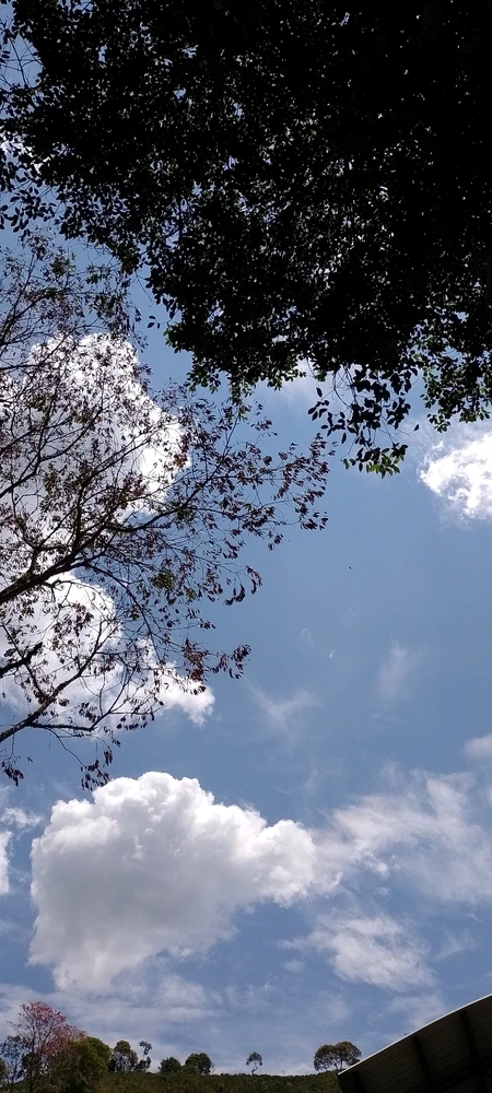 Imatge pujada per Johanna