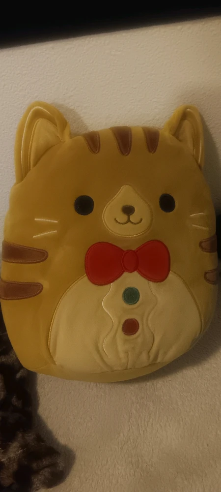 I love my kitty squishmallowww