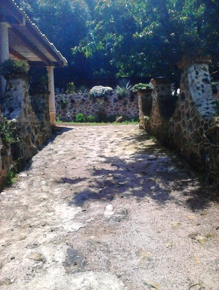 Adánがアップロードした画像