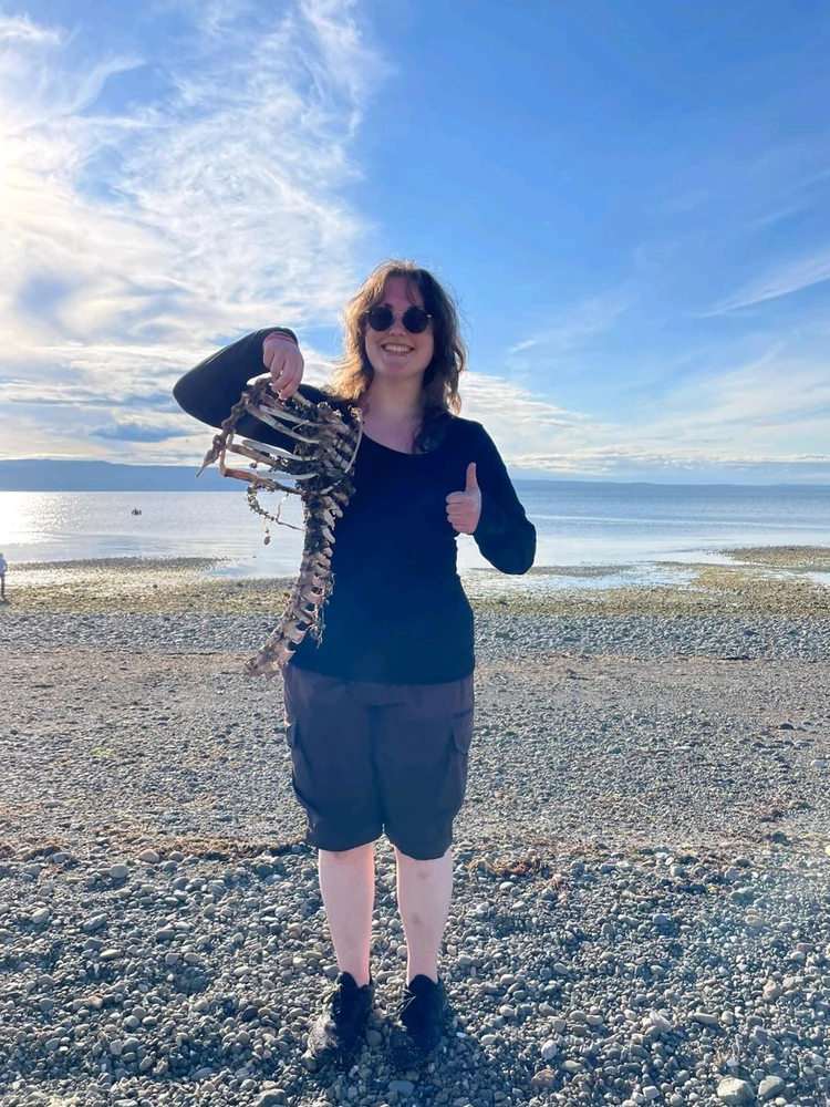 Sick dear bones on the beach in Haïda Gwaii