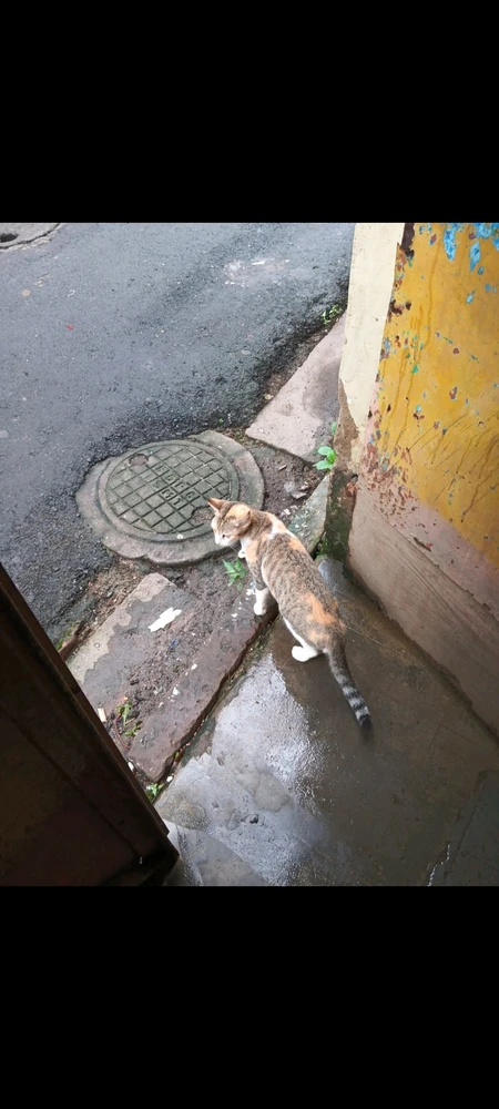 Image uploaded by Avra Dutta