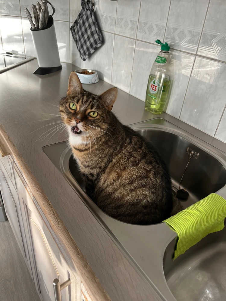 Image uploaded by Mattias