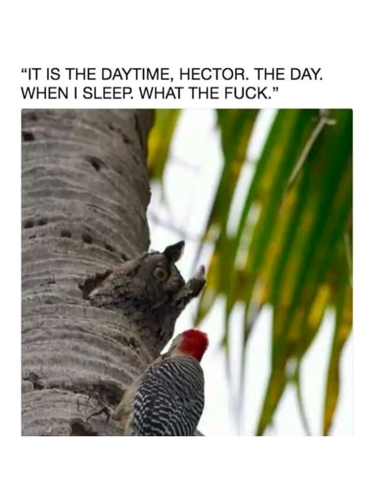 Bild hochgeladen von Doris