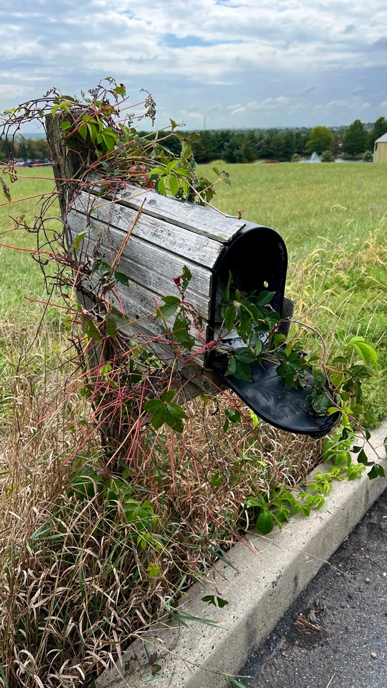 Image uploaded by Andy