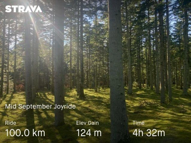 Image uploaded by Anna