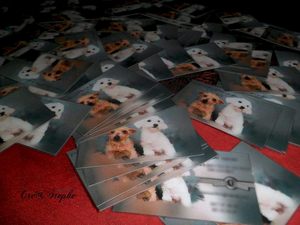 Image ajoutée par Stephe