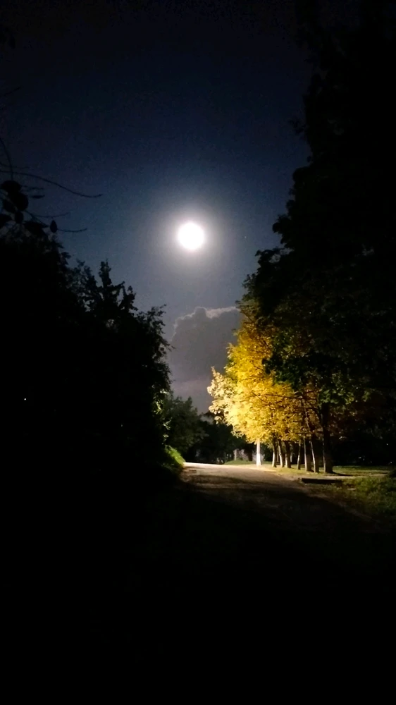 Выява загружана Teratos Genes