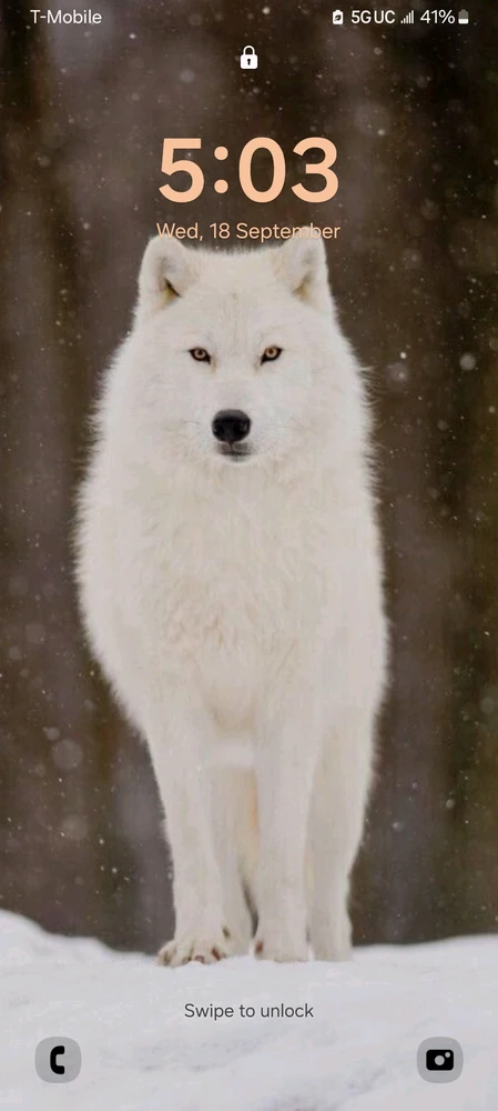 Image uploaded by Nova