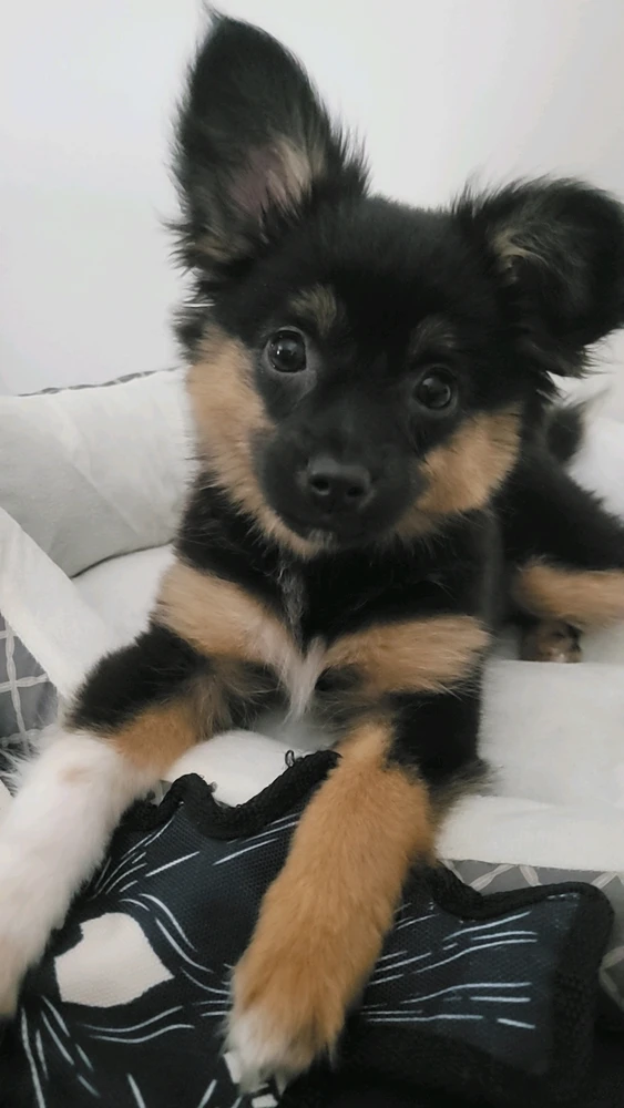 Image uploaded by Dani