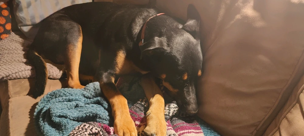 Image uploaded by John