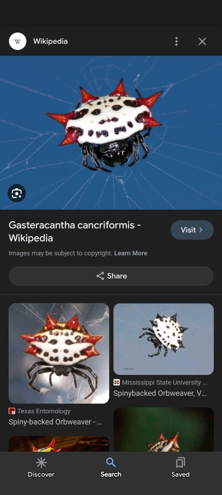 Image uploaded by Ricardo