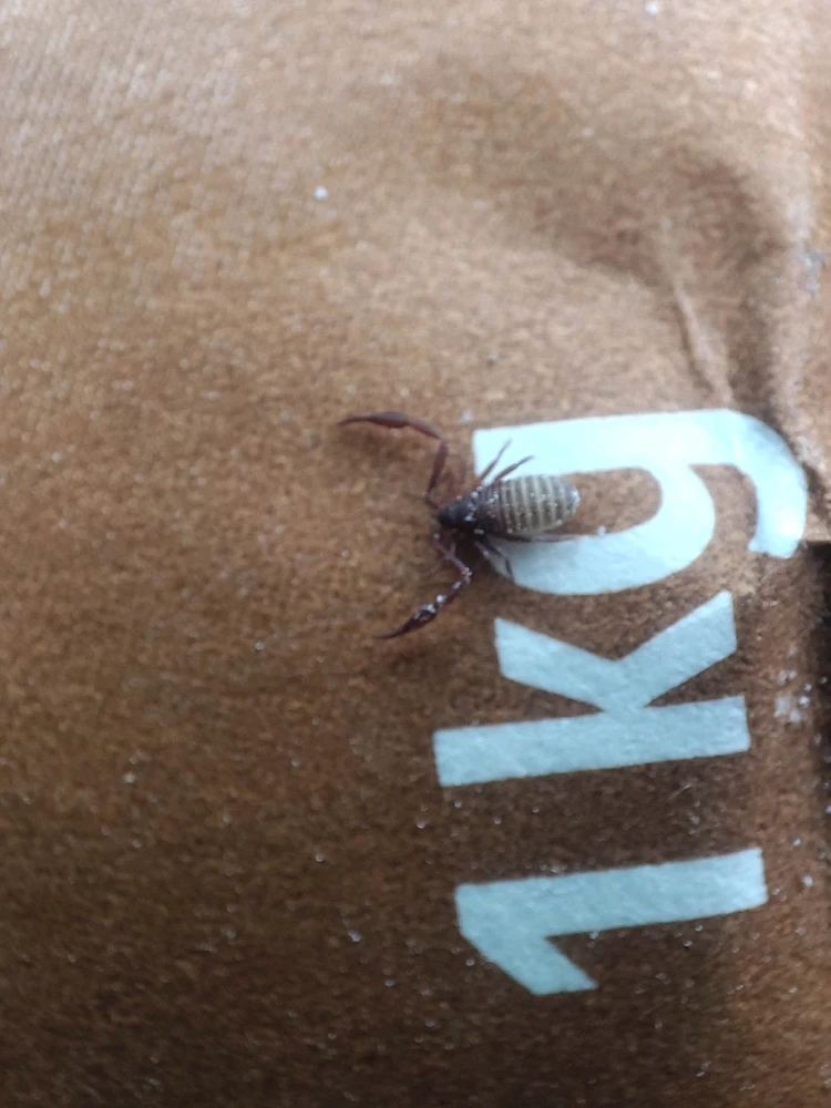 Zdjęcie dodane przez Krzysztof