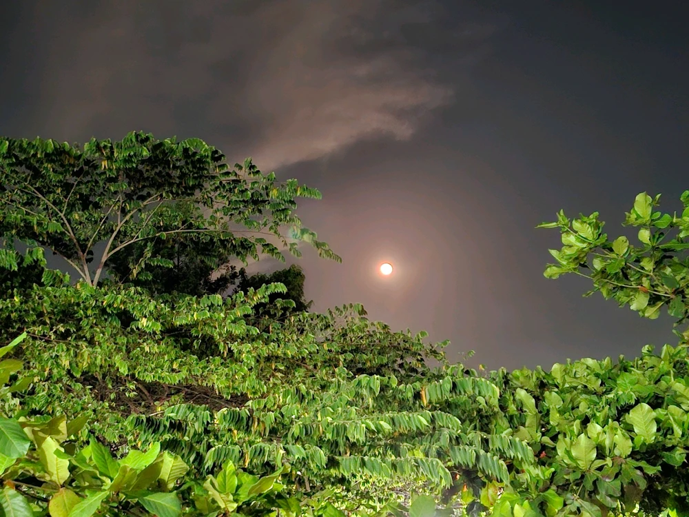 Image uploaded by Edo