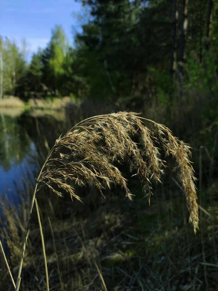 Зображення завантажив Yaroslav