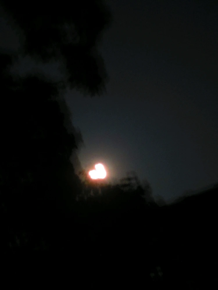 Bild hochgeladen von Nadine