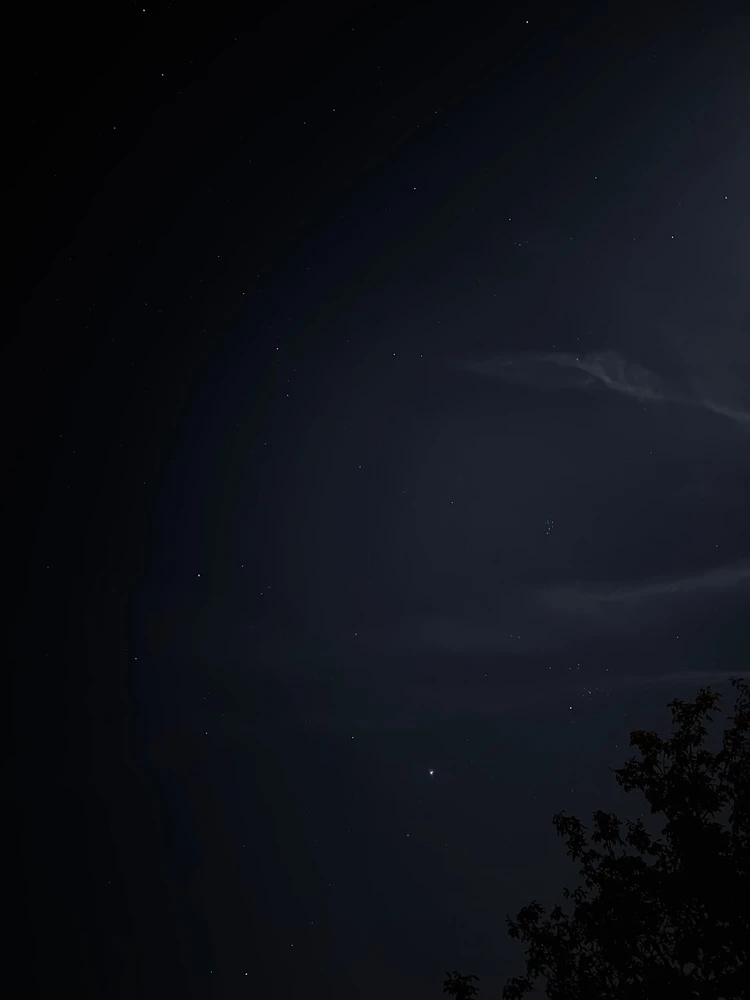 Obrázek nahrál Irónia