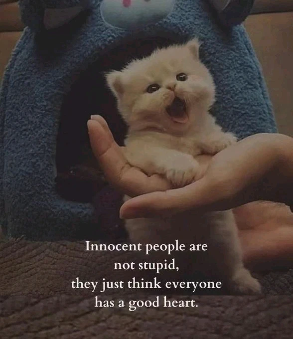 Gambar diunggah dening Gypsy