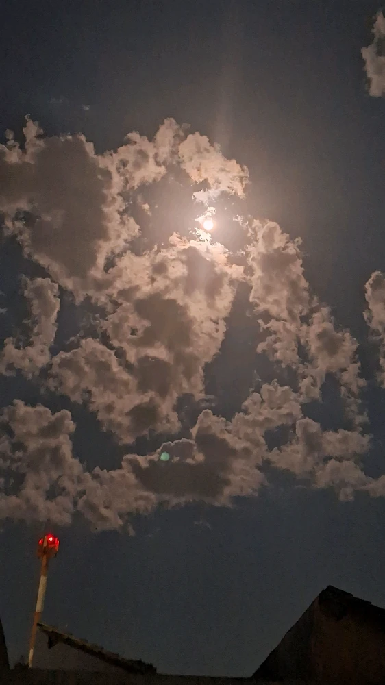 Rita de Cássia님이 올린 사진