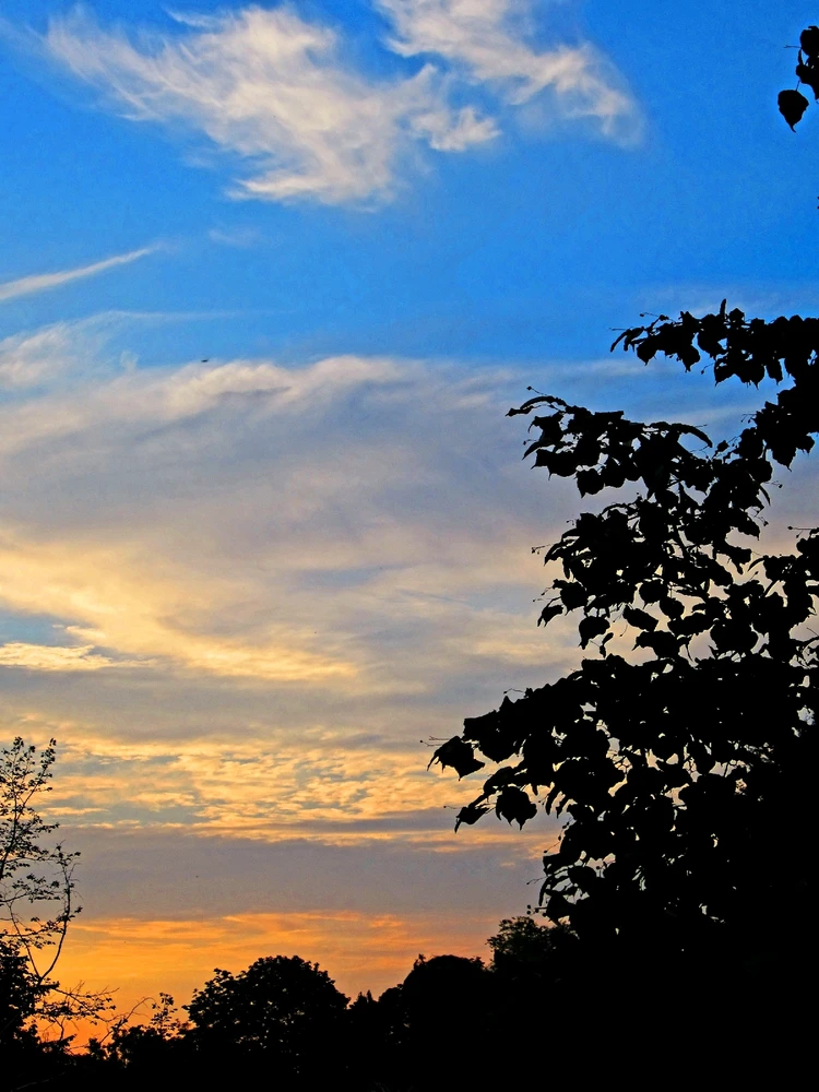 Bild hochgeladen von Nadine