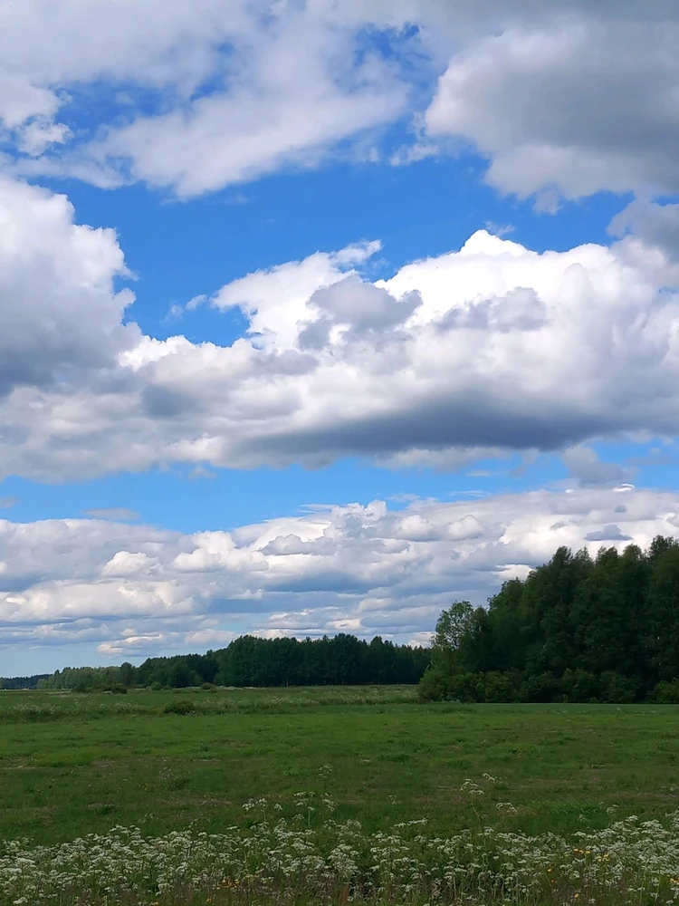 Image uploaded by Tommi