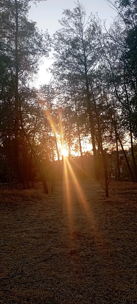 Εικόνα από Clare