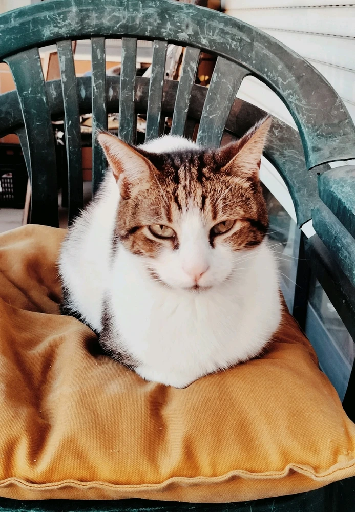 Imagem enviada por Pedro