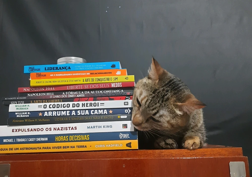 Imagem enviada por Bruna Cristovão