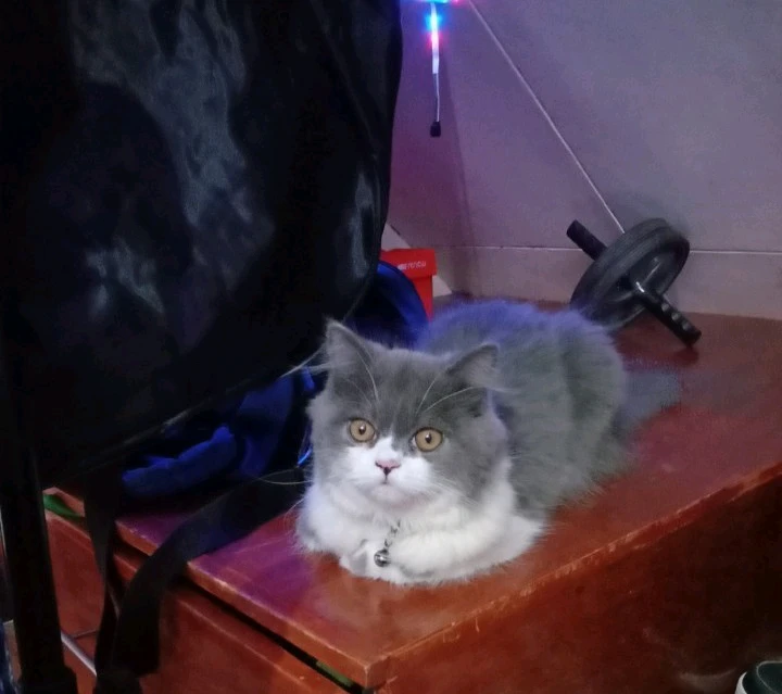 Image uploaded by Mau✨