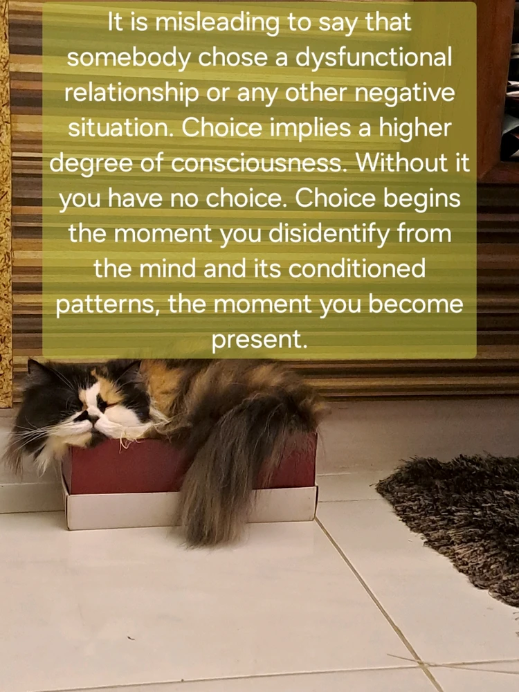 Image uploaded by Lululili