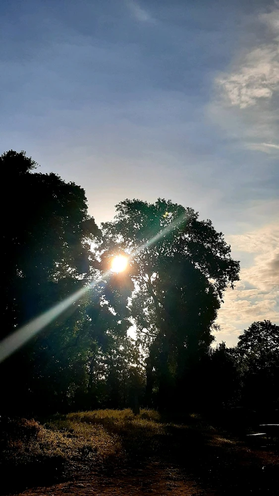 Bild hochgeladen von Nadine