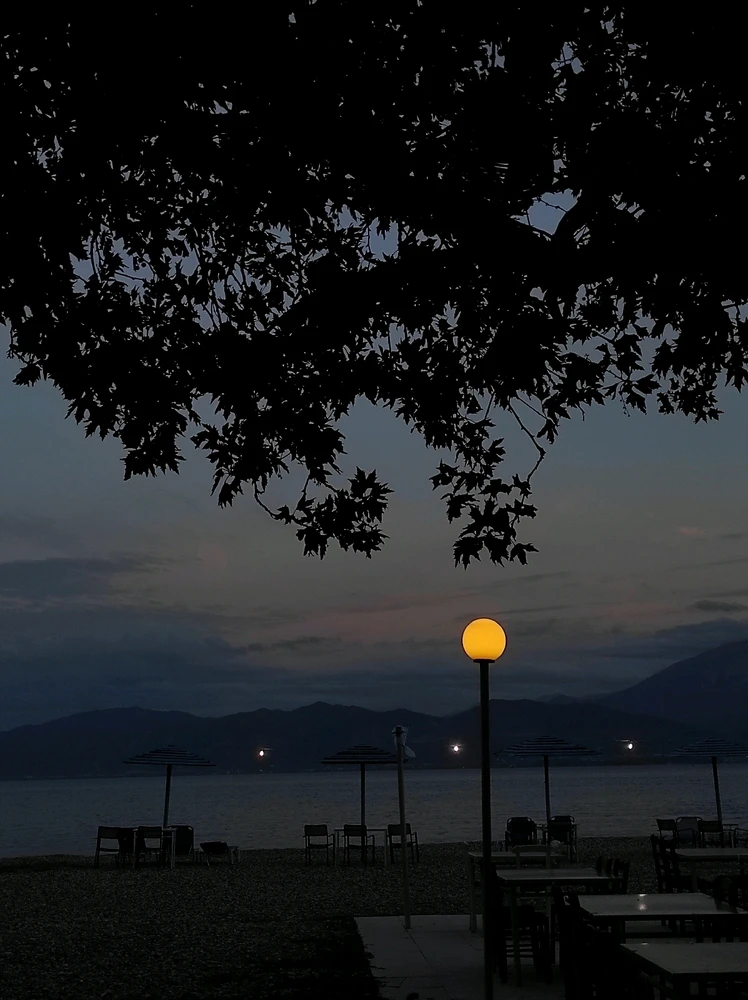 Εικόνα από Σήλια