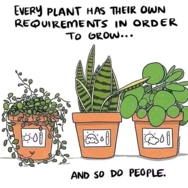 Gambar diunggah dening Gypsy