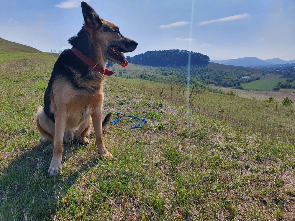 Imagine încărcată de Sebastian