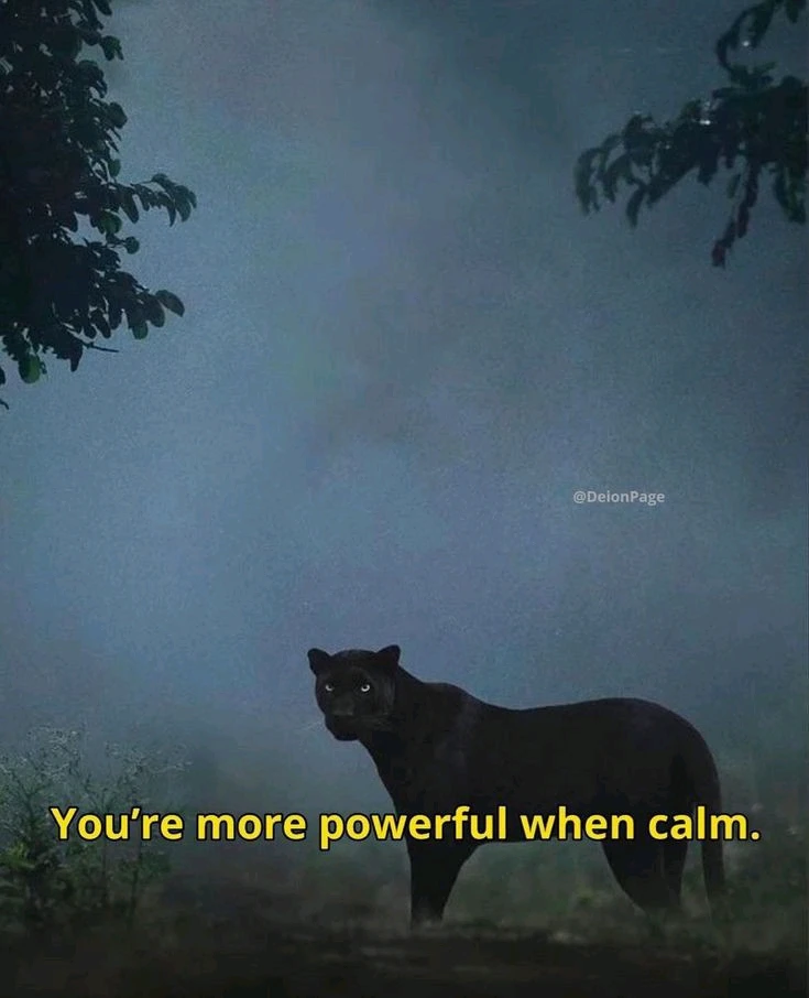 Gambar diunggah dening ꓄ђ