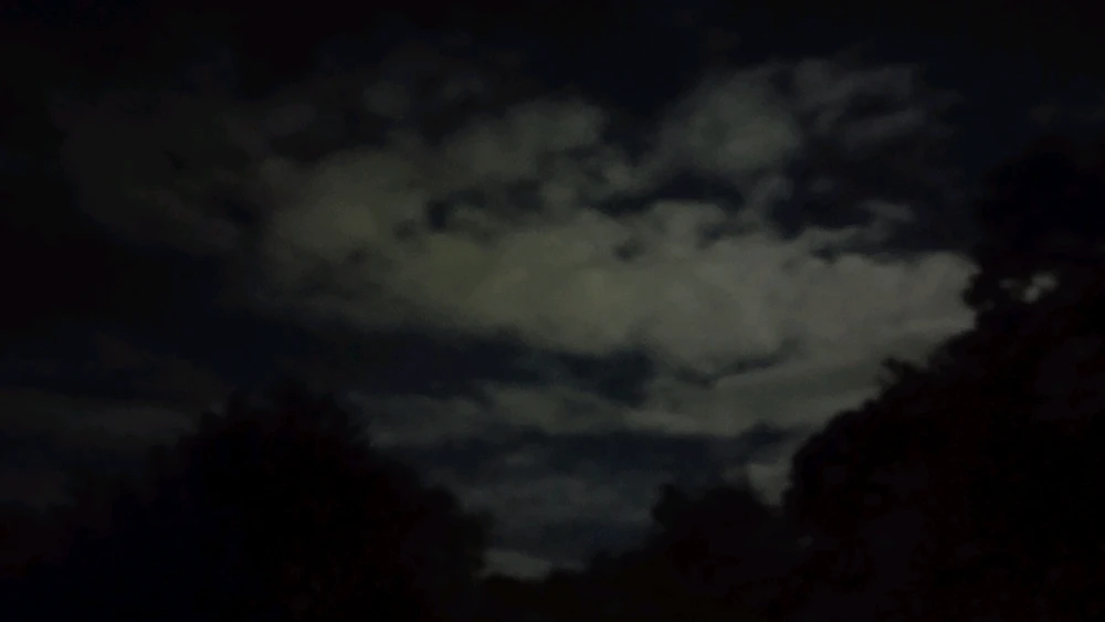 Image uploaded by Joseph A