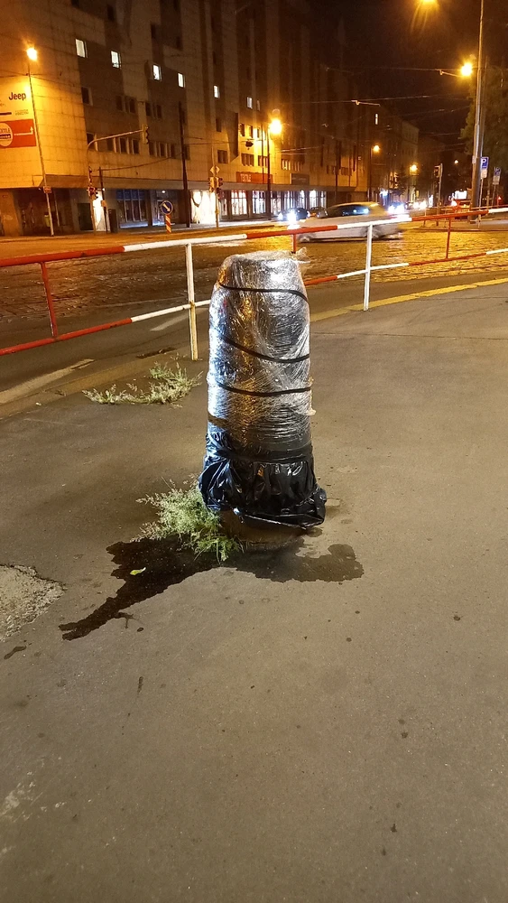 Obrázek nahrál Svatava