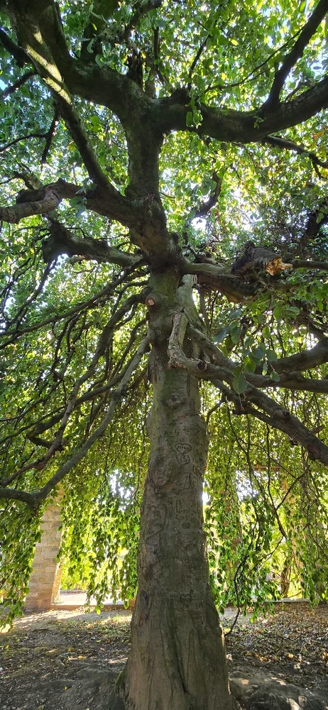 Bild hochgeladen von Klaus