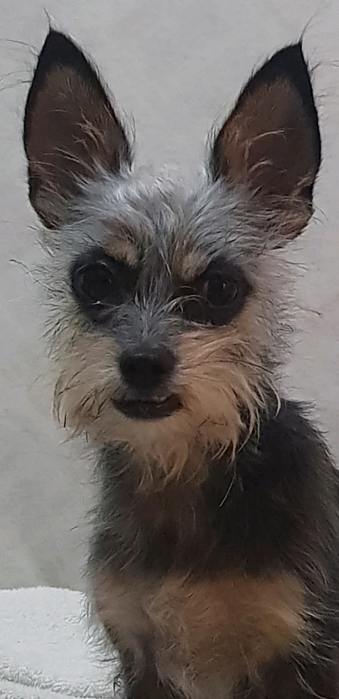 Maggie 