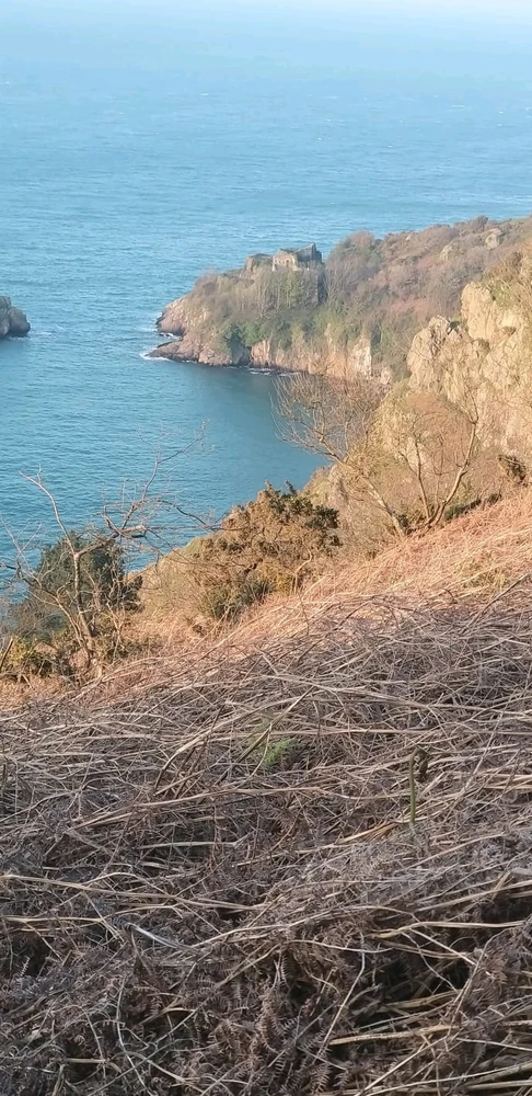 Gypsy അപ്ലോഡ് ചെയ്ത ചിത്രം