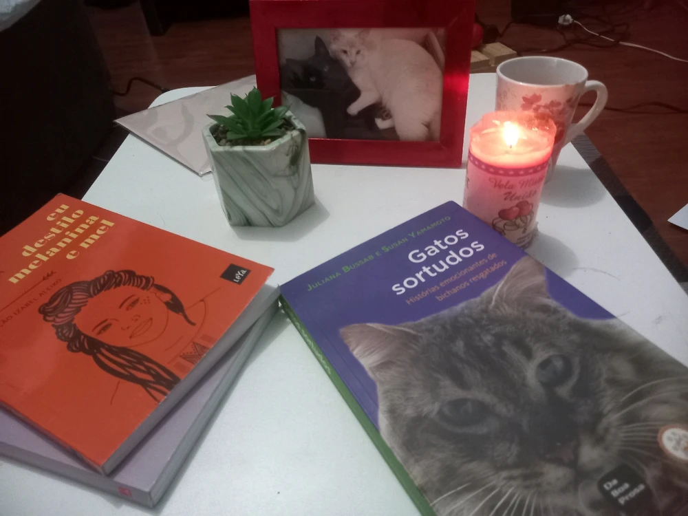 Imagem enviada por Ana Paula Teodoro