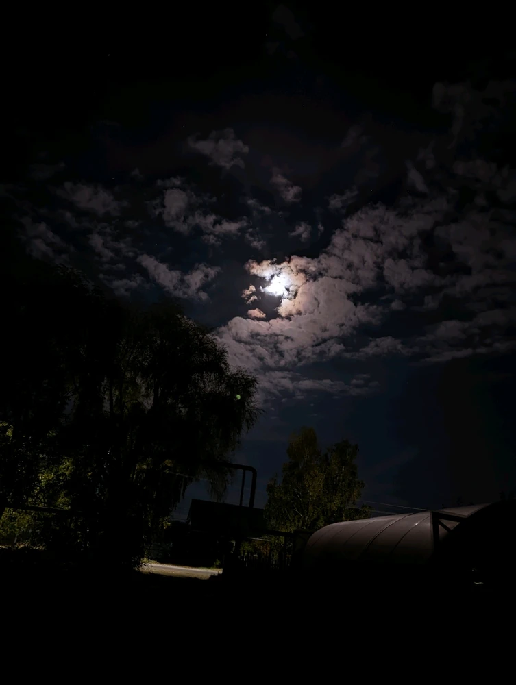 Фото загрузил Pavel