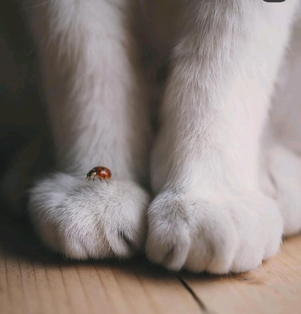 Image ajoutée par Laeti 💜👻