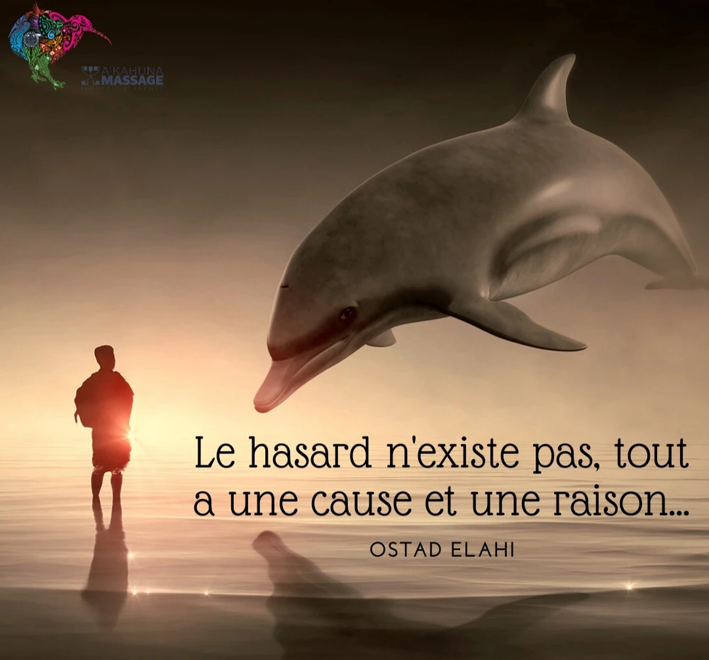 Image ajoutée par Hamdi