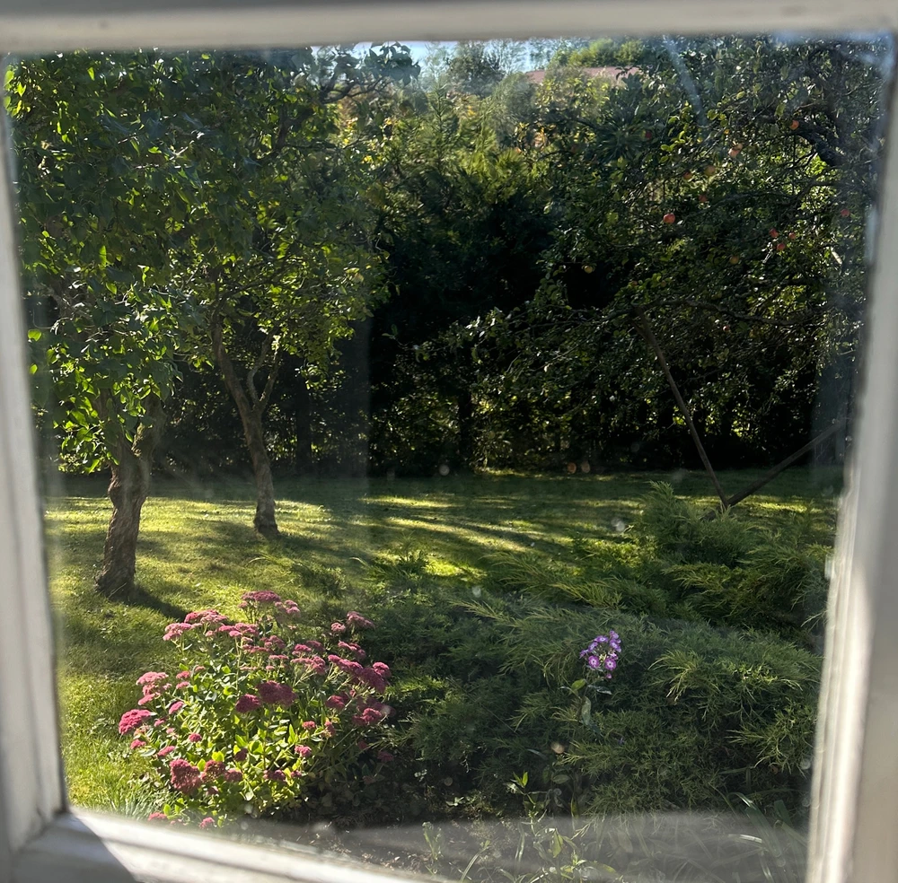 Obrázek nahrál 🌹Thomas🌹