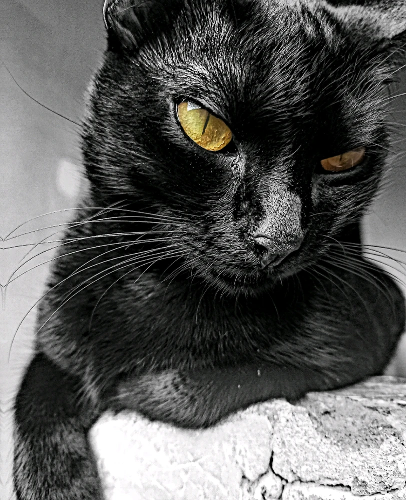 Imagem enviada por Gleidson Fallcão