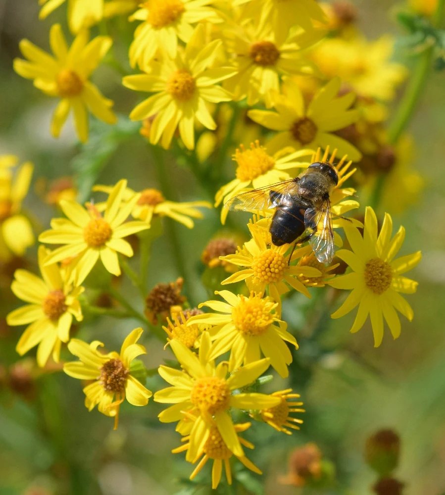 Image ajoutée par Caroline